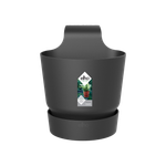 greenville easy hanger single living schwarz